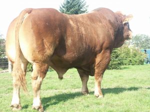 Newark 13th April 2013